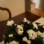 Finestra Sul Cortile アパート ナポリ