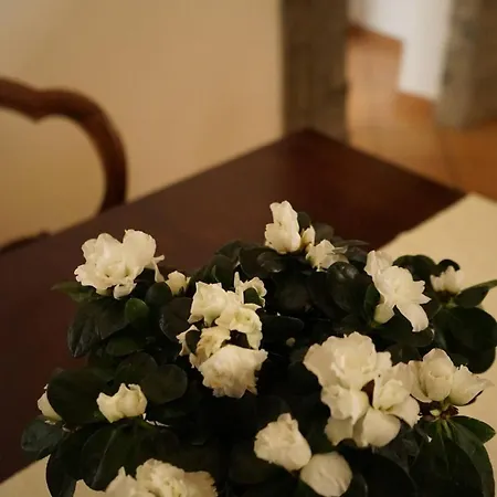 Finestra Sul Cortile Appartamento Napoli